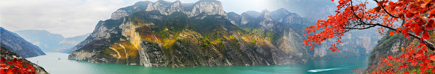 金年会娱乐官网首页